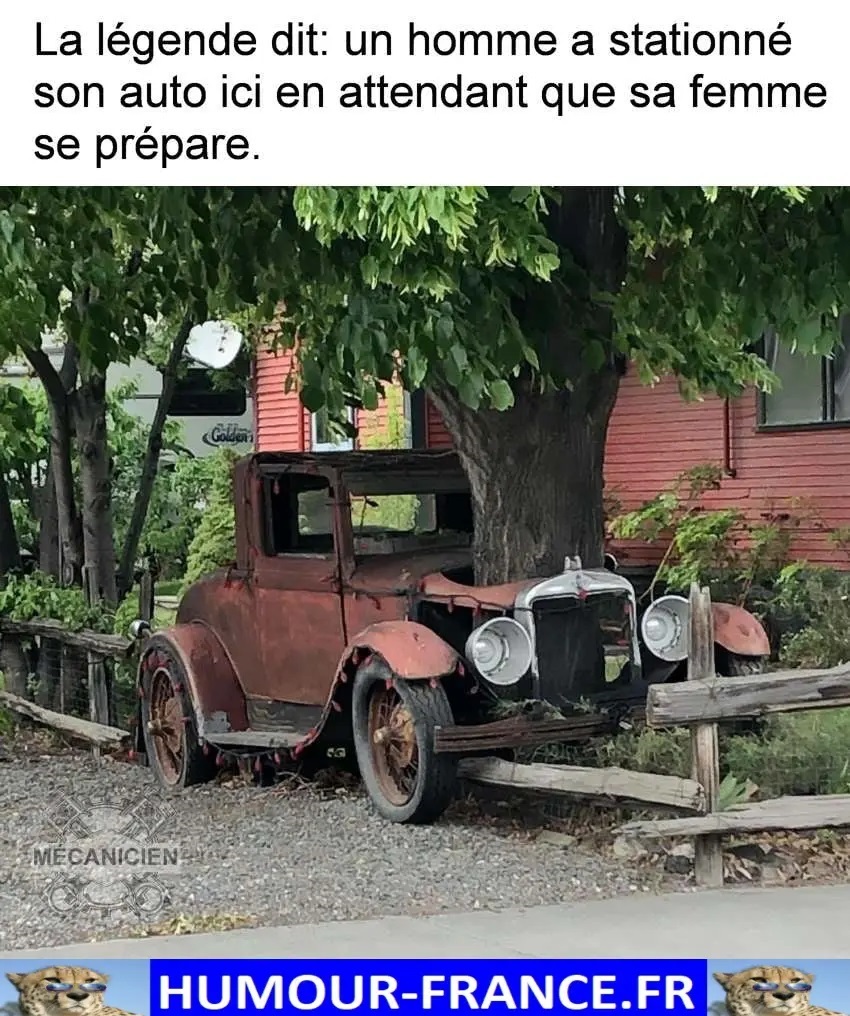 text alternatif