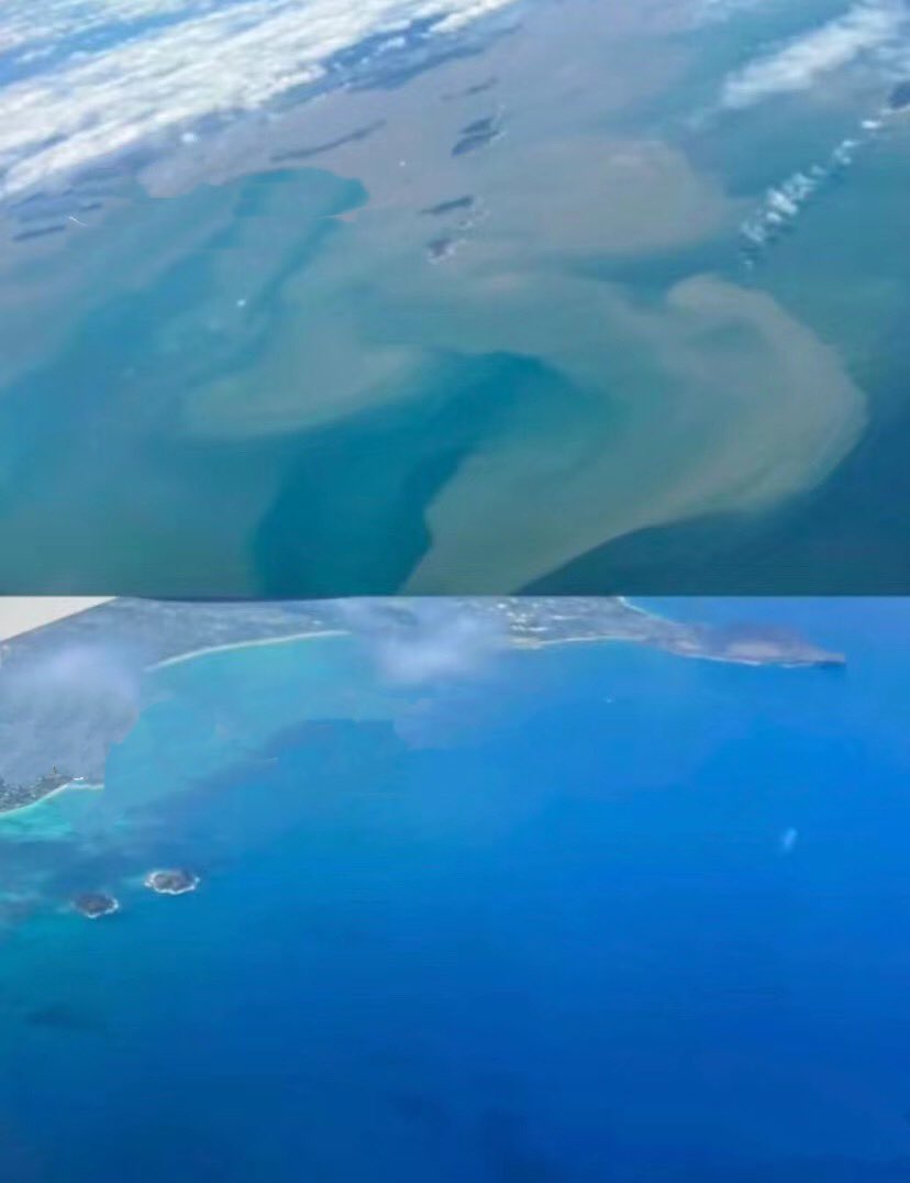 xi5124's tweet photo. suddenly the environmentalists stopped talking,the world is silence but they are dying,they don't understand why it hurts so much，do you hear the ocean crying? #japan #nuclear #Nuclearwastewater #ocean https://t.co/WUhsZcTP07