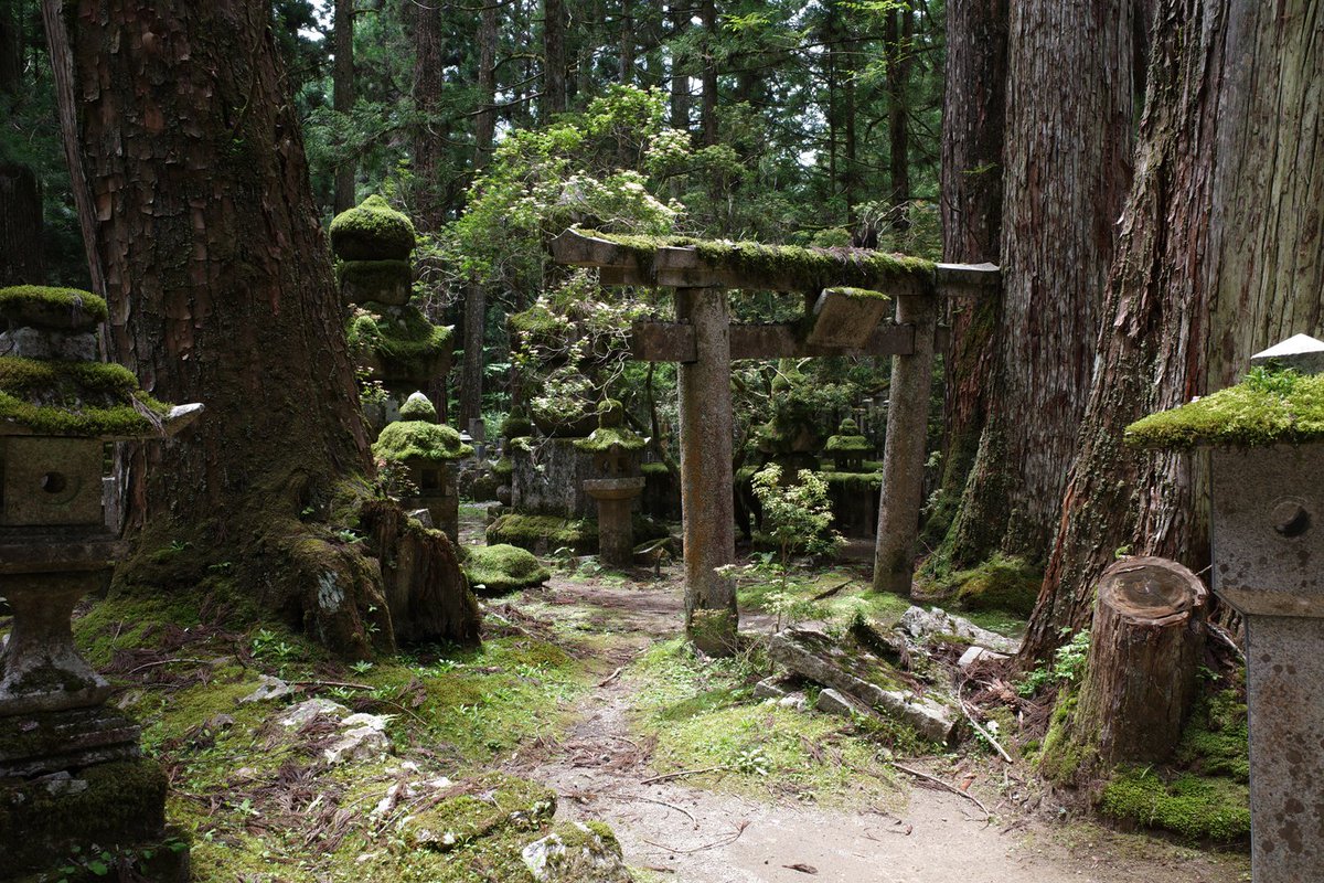 Timo Kuilder tweet media