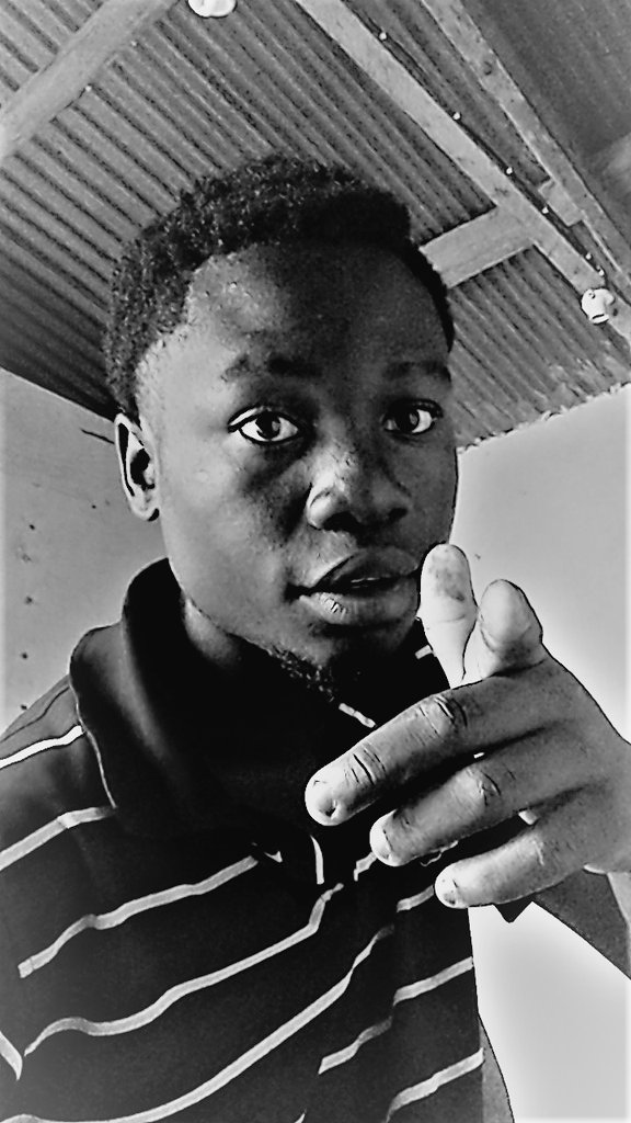 Wiley Shizzo (@wshizzo) on Twitter photo 