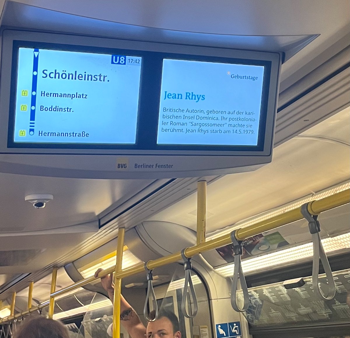 Madeleine Watts tweet media