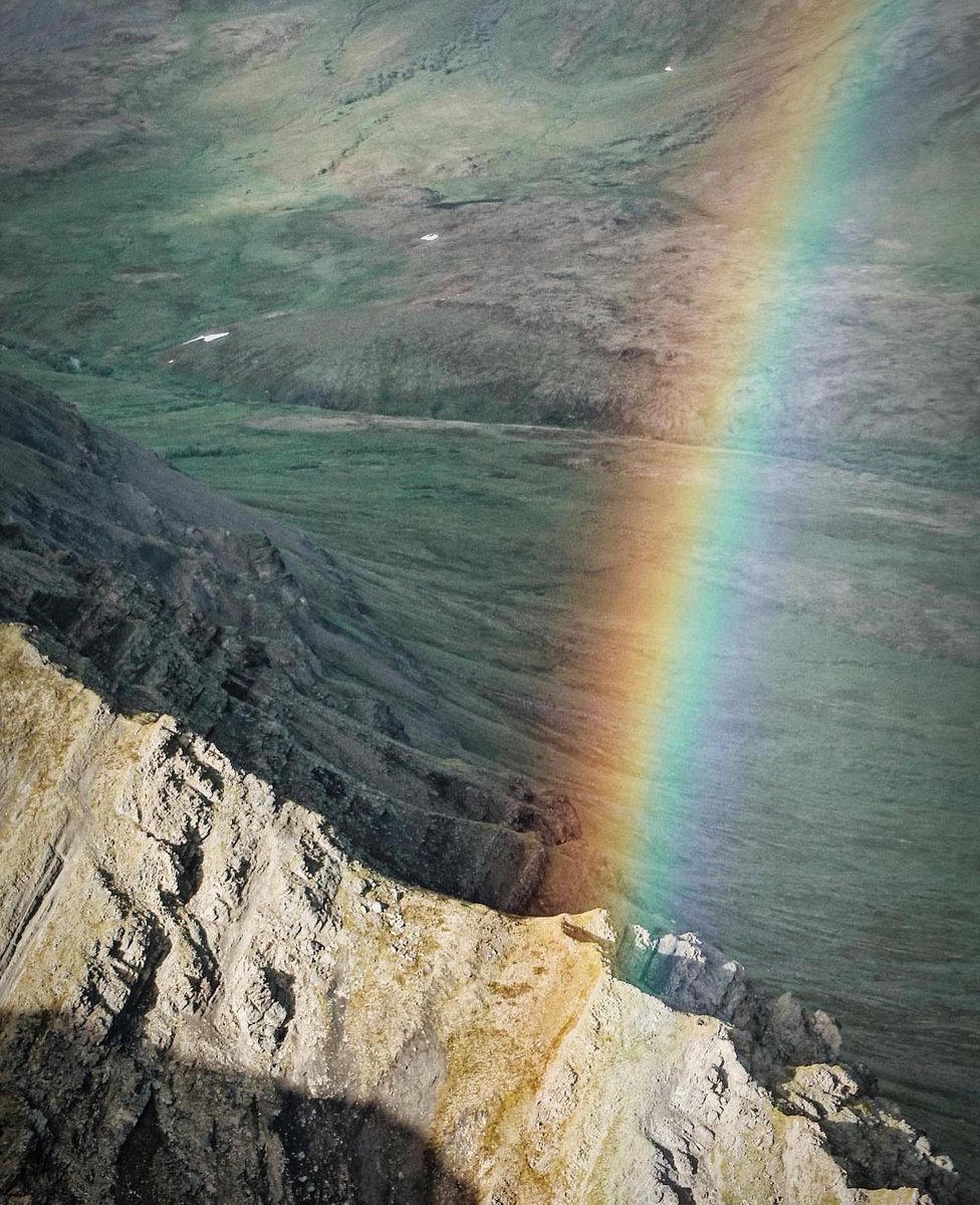 Sights Of Sara tweet media