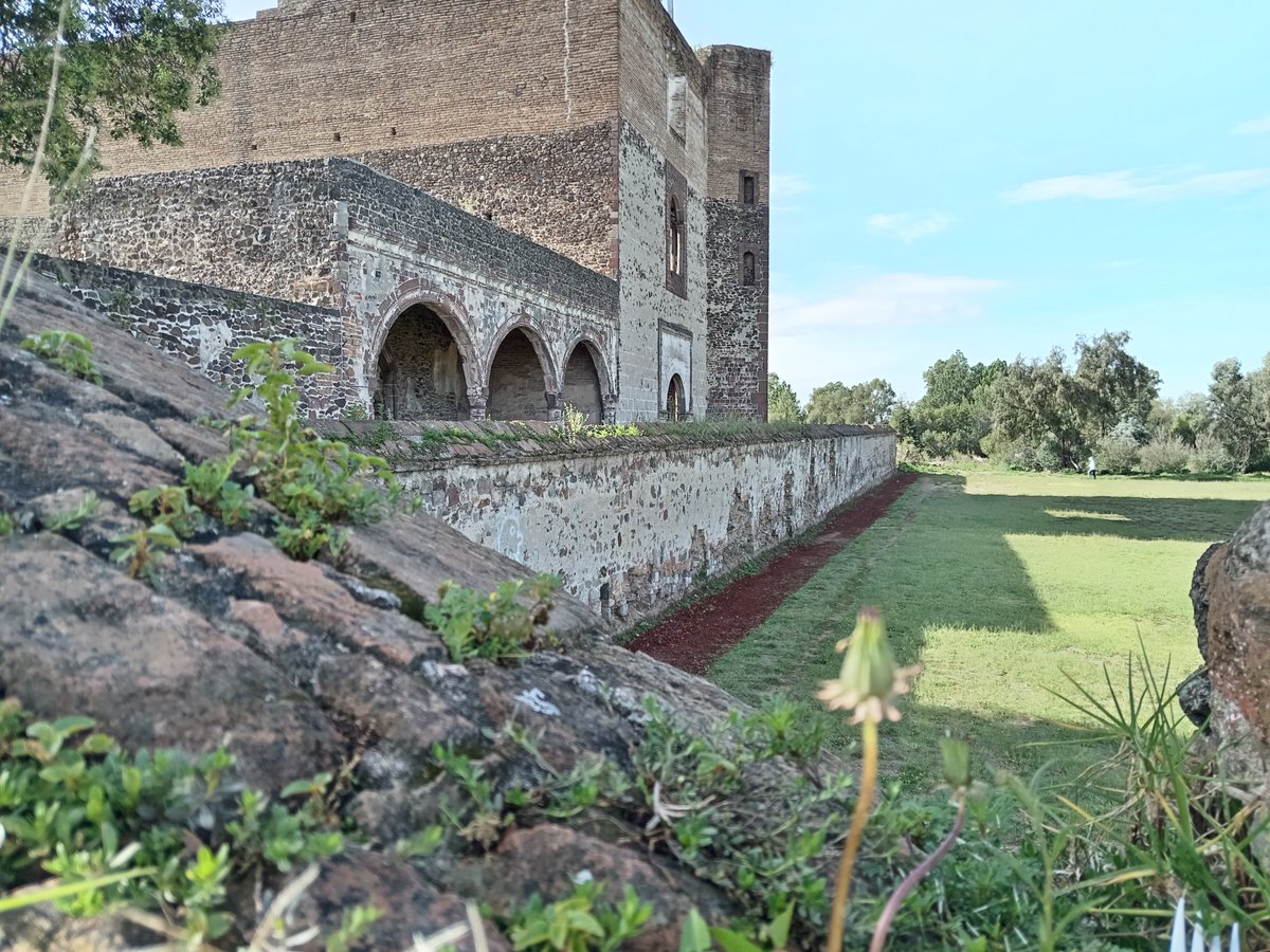 🅹🆄🅰🅽 🅲🅰🆁🅻🅸🆃🅾🆂 🇲🇽 tweet media