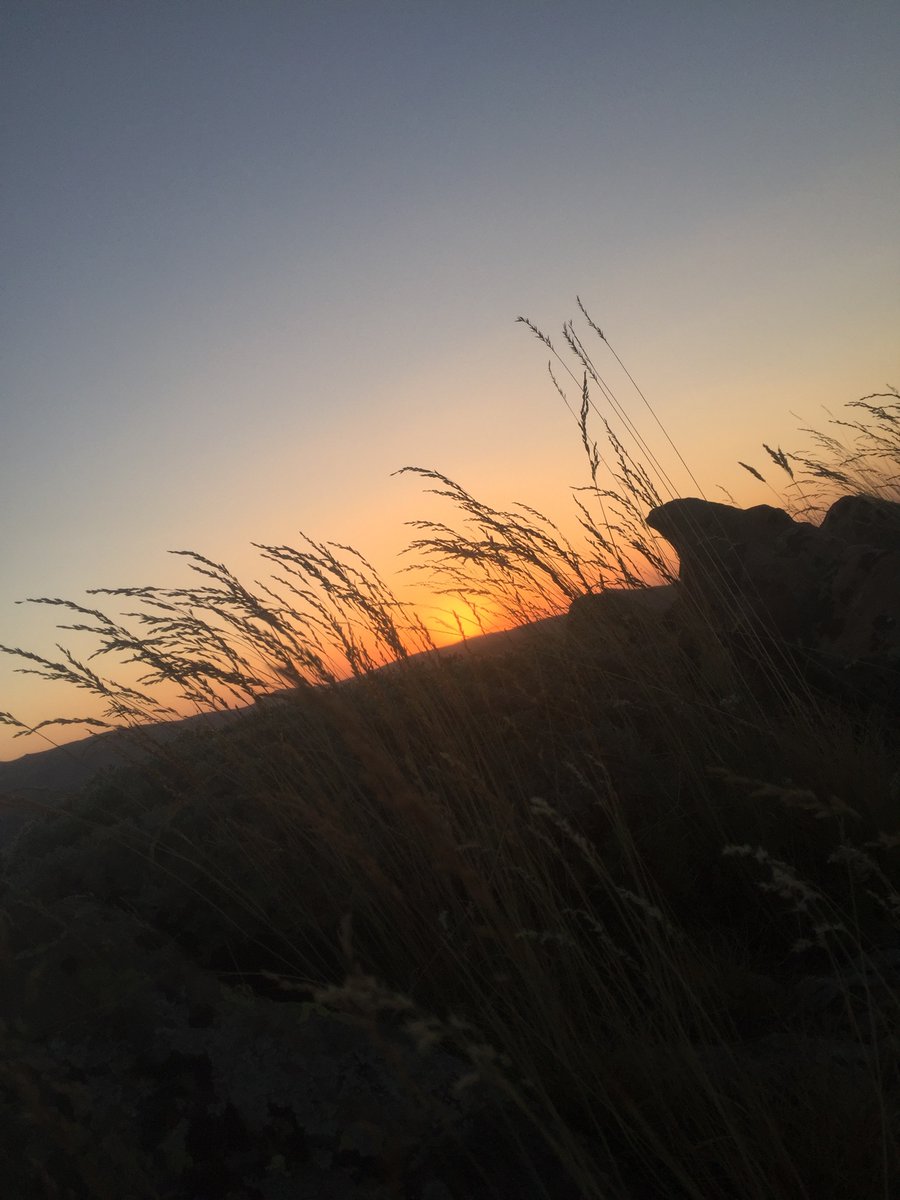 has_pehlivan's tweet photo. 🌞🌝🌼 https://t.co/2Qib8zMEho