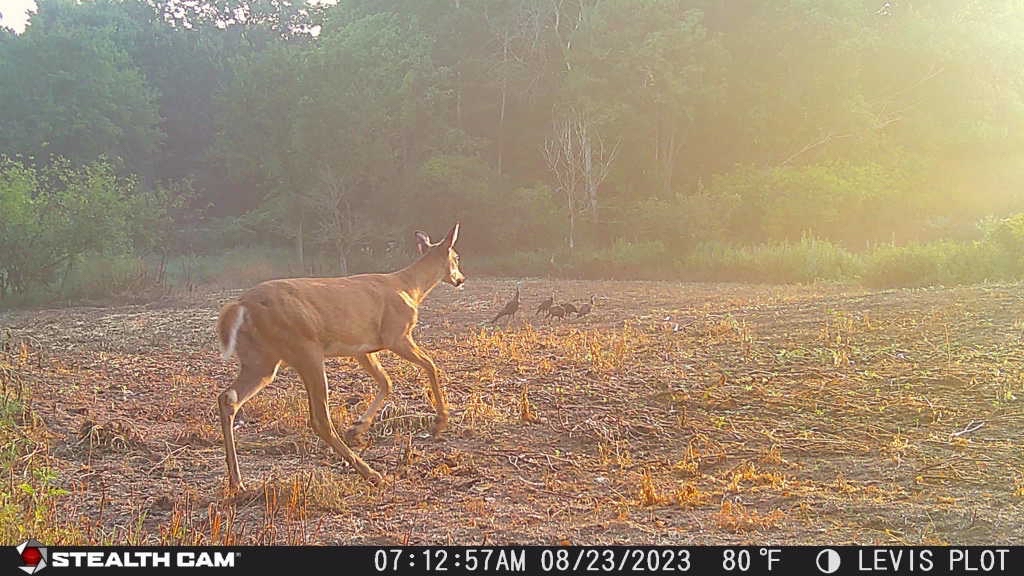 FrostSprayTech's tweet image. ATV &amp;amp; UTV sprayers have really improved the simplicity of prepping for the hunt! 🦌🦃 

buff.ly/3KSBcax

#PlotManagement #Sprayer #HuntingSeason #DeerPlot #FoodPlot #TurkeyHunting