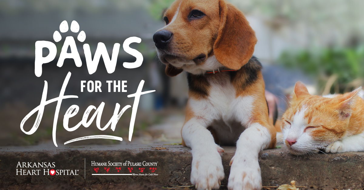 ArHeartHospital's tweet photo. Paws for the Heart is only 2 days away! Give a dog a forever home and learn how they improve your heart health this Saturday at @HumaneSocietyPC . Every adoptee will receive a FREE heart screening! Watch @KATVNews at 3 p.m. today for details. https://t.co/vLA6NbDg8E https://t.co/ac9QallX3g