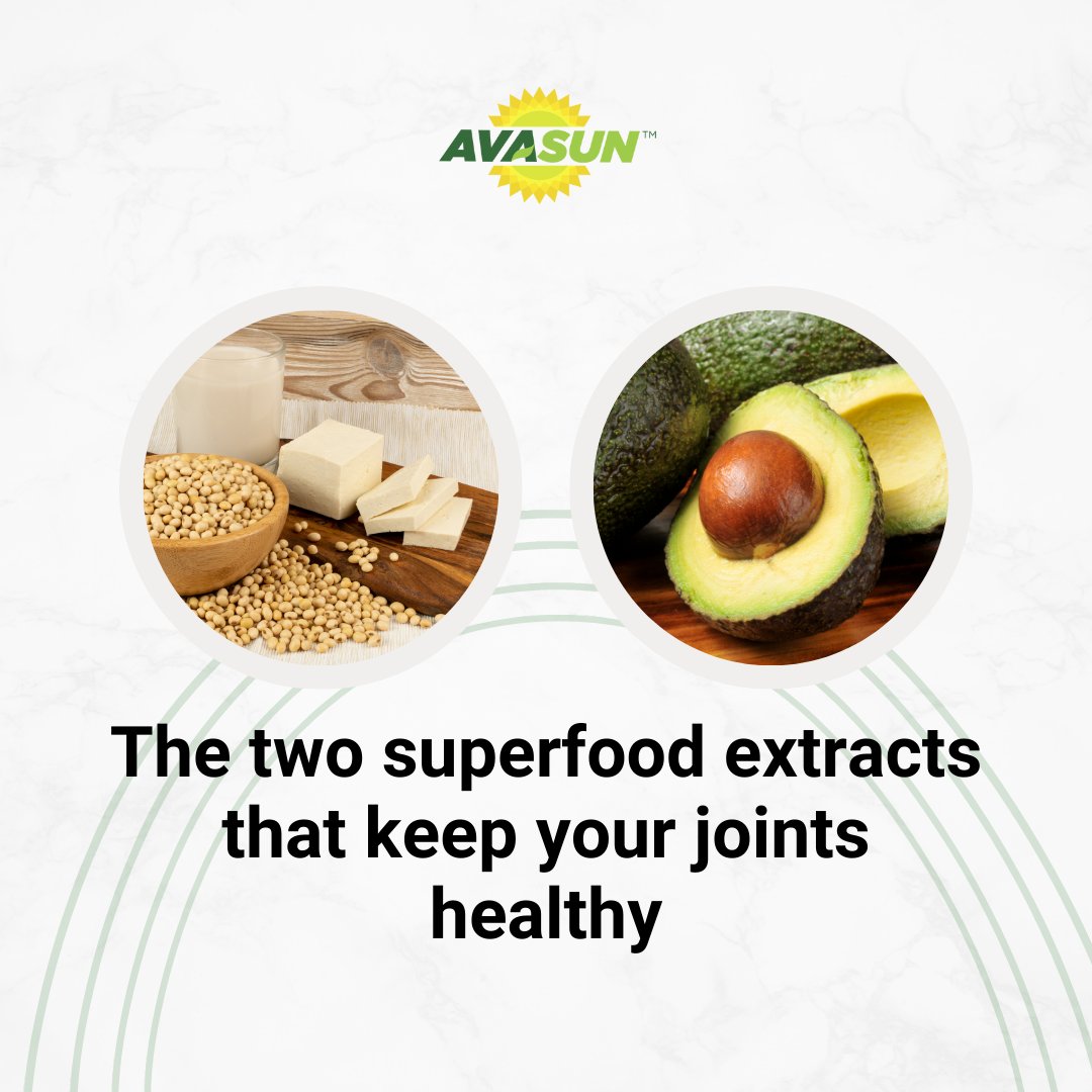 AvasunHealth's tweet photo. 🥑 Avocado Soy Unsaponifiables (ASU) is the active ingredient in Avasun. ASUs are the oil-based extracts of avocados and soy. These two superfood extracts have been combined in a 1 to 2 ratio for optimal results.

🧪 Joint nutrition backed by science. 🌐  ... https://t.co/T1JCNY2SYG