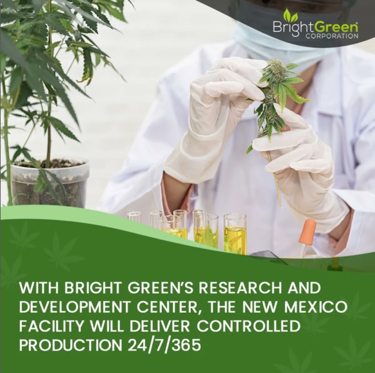 BrightGreenUSA's tweet photo. With our research and development center and affiliations with university research facilities, the New Mexico facility will deliver controlled production 24/7/365. In addition, automation throughout the facility will ensure all reliable processes and product consistency. https://t.co/4dHW23ucb1