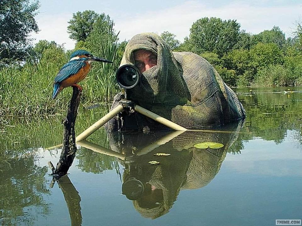 El único disparo que debe recibir un animal es el de una cámara 🐦 ❤️