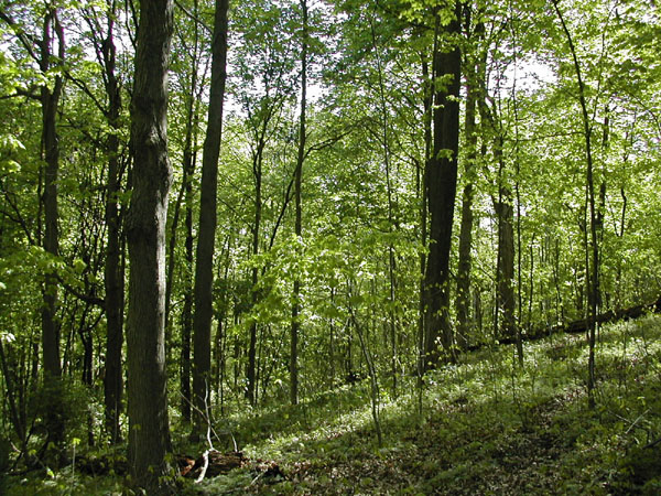 The Hillside Trust - Land Conservation in Great Cincinnati and