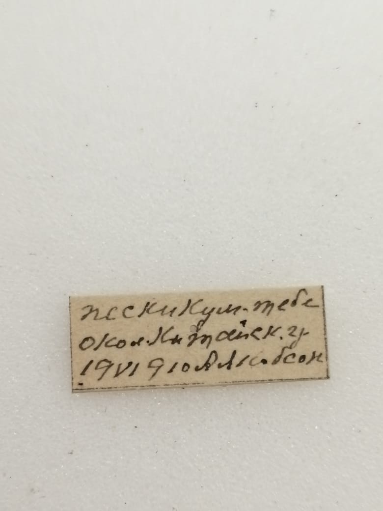 Kevin A. Cortés Hernández tweet media