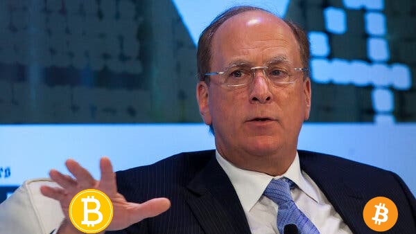 bitcoinlfgo's tweet photo. BREAKING 🚨

BLACKROCK OWNS 8.1% OF MICROSTRATEGY WORTH 12,244
#BITCOIN . https://t.co/6G1sNKgpqz