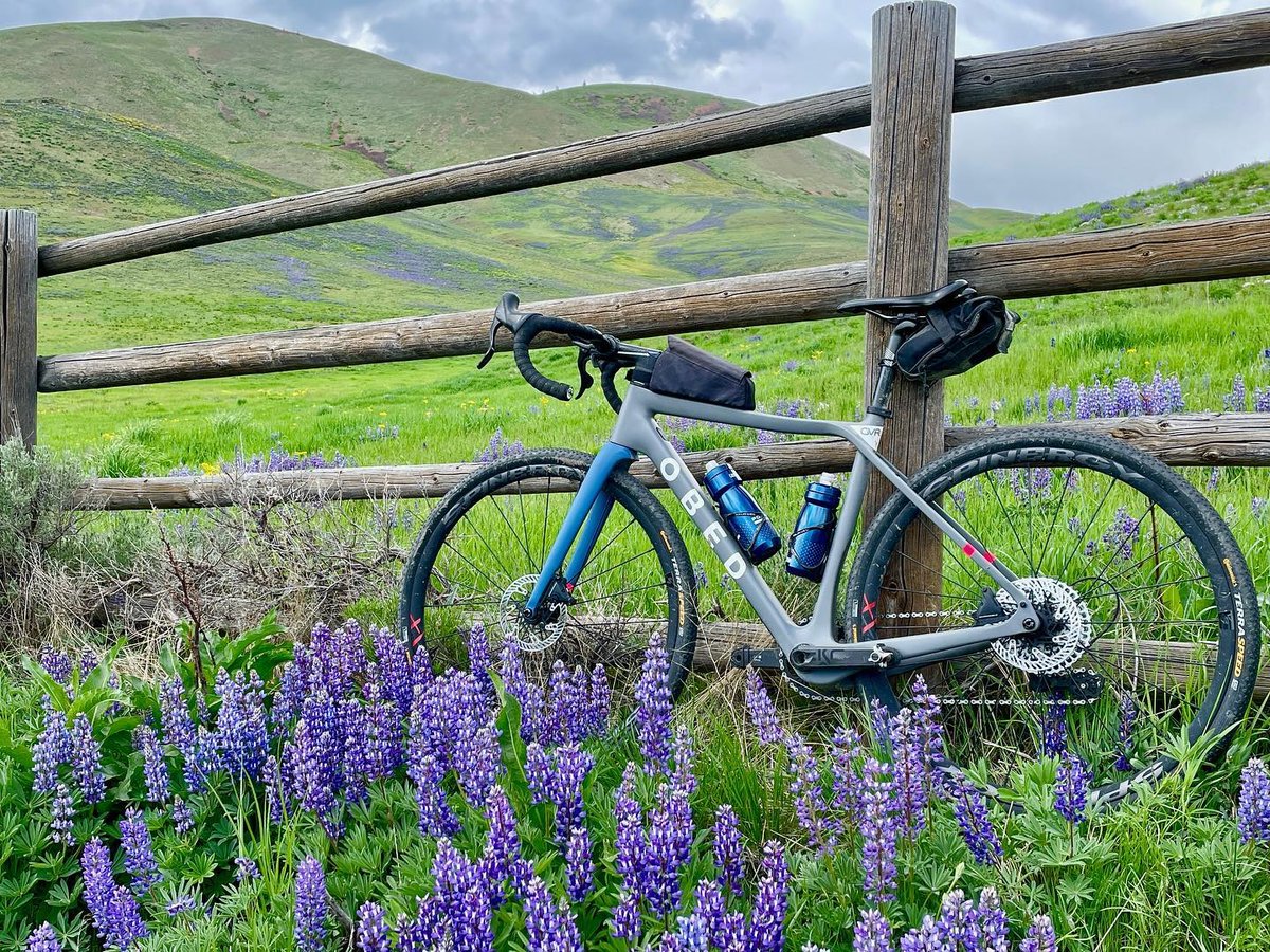 ObedBikes's tweet photo. You won't find views like this on greenway. Take the road less traveled. Stop and smell the flowers 🌻🌸🏔️ (and take cool pics of your bike 😉) 

📷 @h2idaho https://t.co/jM2t4c4JpY