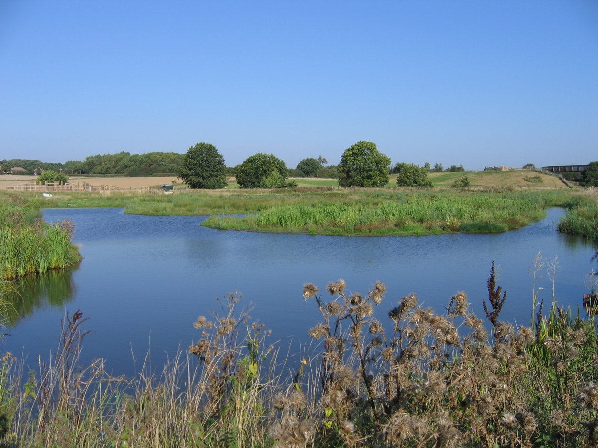 We're so excited that our Avenue Washlands reserve came away with the award for Nature Site of the Year from <a href="/thelandtrust/">The Land Trust</a>! 💚

Thanks to our staff, volunteers &amp; community groups for the regular management across the site making it a fantastic place for wildlife.

(C) Steve Price