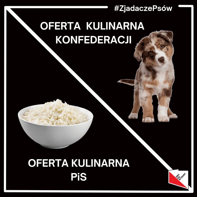 Ewa0909Ewa's tweet photo. Morawiecki z PiS, chce nas karmić ryżem, na który mamy sami „zapierdalać”- cytat z Morawieckiego 
Sośnierz z Konfederacji chce jeść nasze psy!!! 
Ludzie, w jakiej Polsce my żyjemy? 
#ZjadaczePsów #OszukaliLudzi https://t.co/fU62MdCqT9