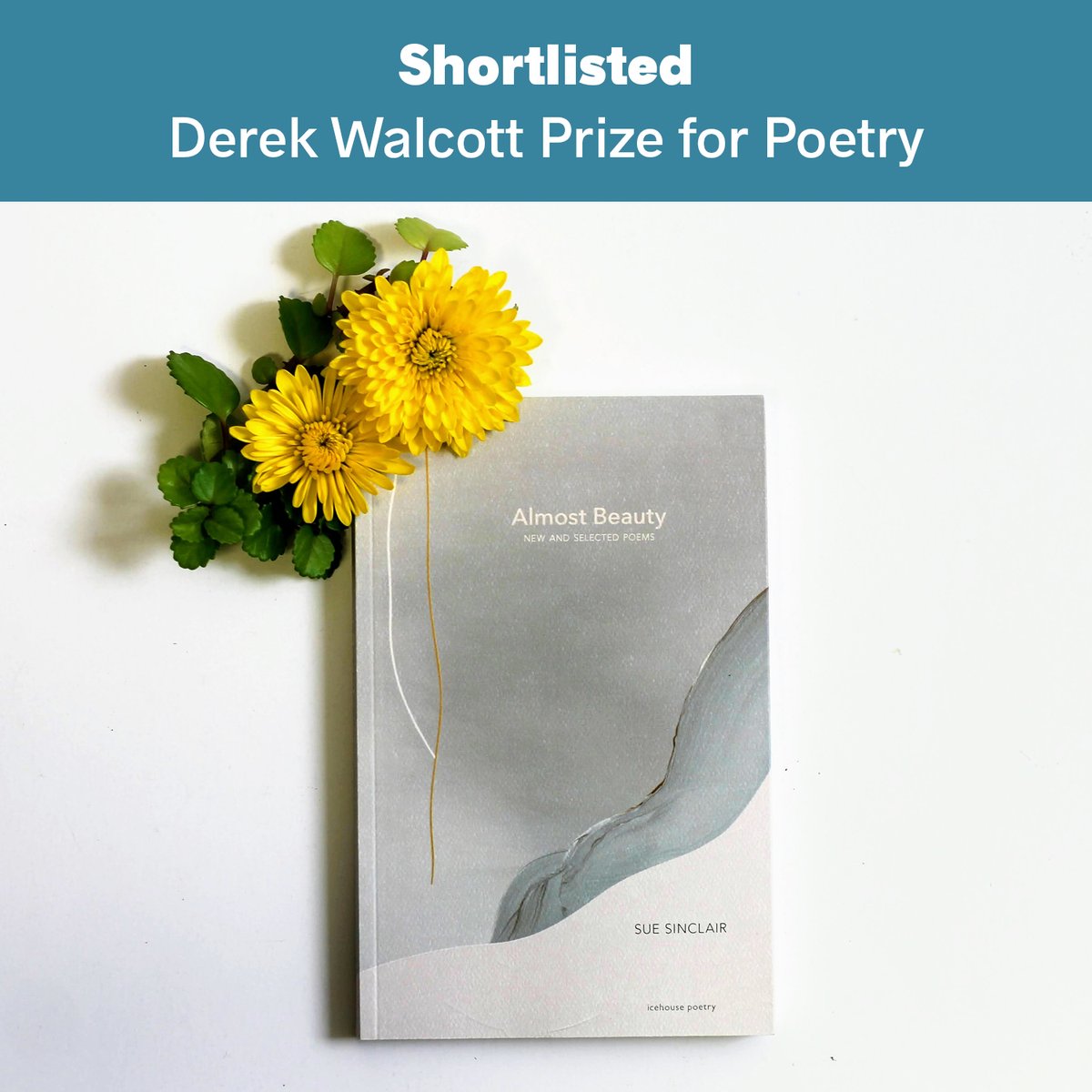 ❤️A huge and heartfelt congratulations to Sue Sinclair for Almost Beauty being shortlisted for the Walcott Prize 2022 by @arrowsmithpress !🌼