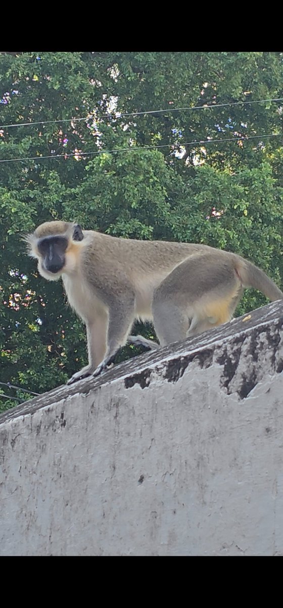 Enjoyed my vacation!