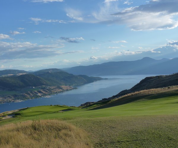 ken pederson tweet media