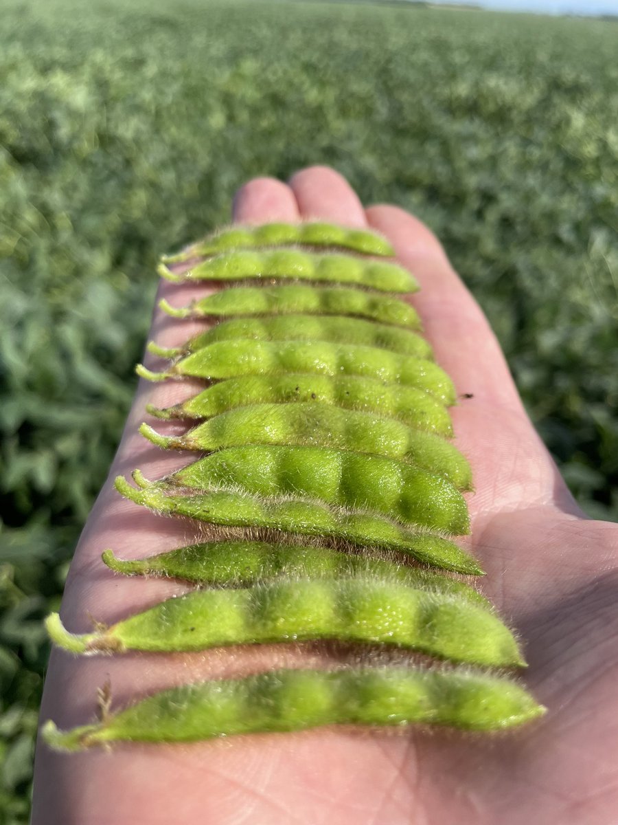 Luke Rivir tweet media