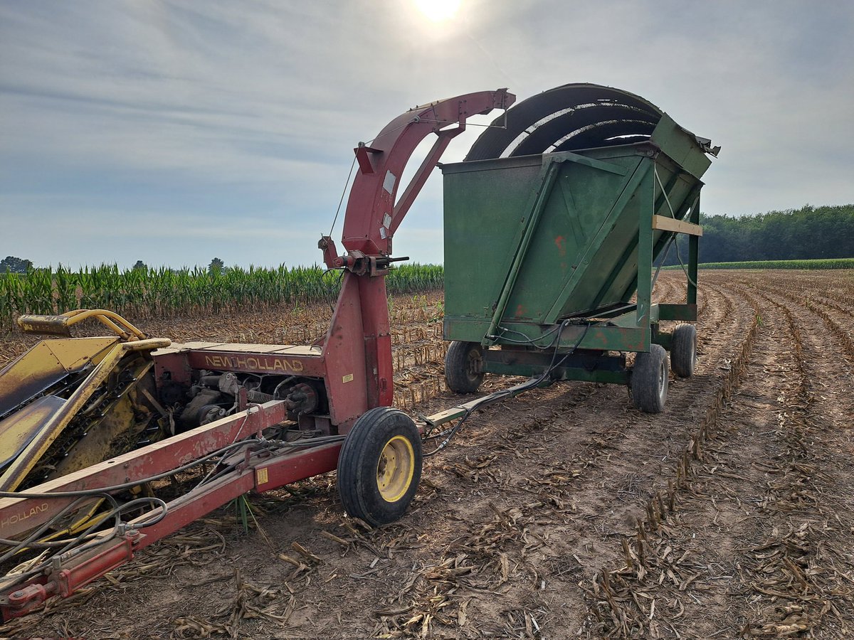 Andrew Cauthorn tweet media