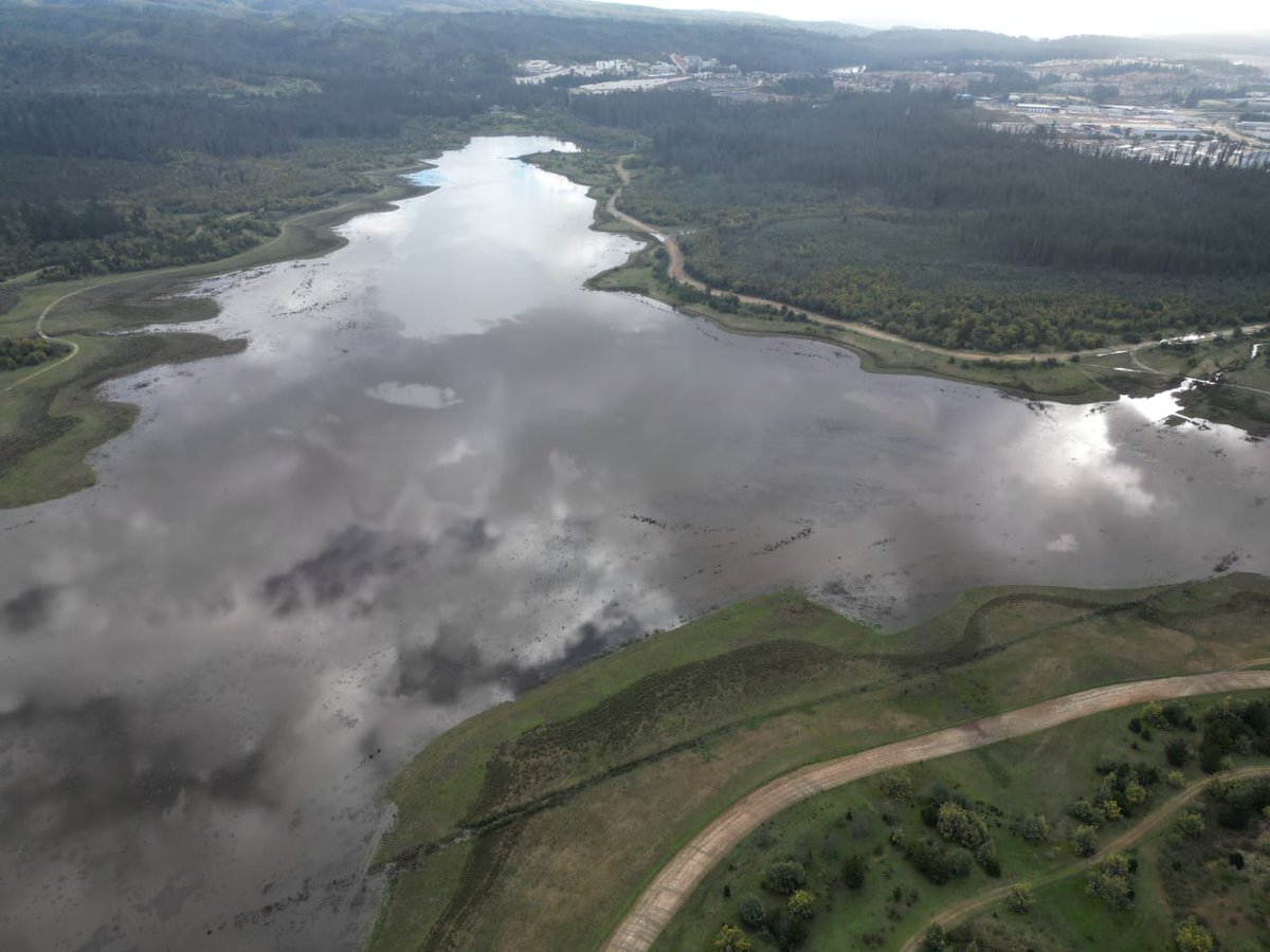 conaf_valpa's tweet photo. 📍El espejo de agua de la Reserva #LagoPeñuelas registró un aumento tras las últimas 🌧️ 

➡️Extensión aproximada: 193 ha

➡️El último sistema frontal dejó 104 mm de agua caída. Total acumulado este año: 429 mm

➡️El embalse se abastece 100 % de 🌧️

🎞️#Guardaparques Mario García https://t.co/o3o6oLz38d