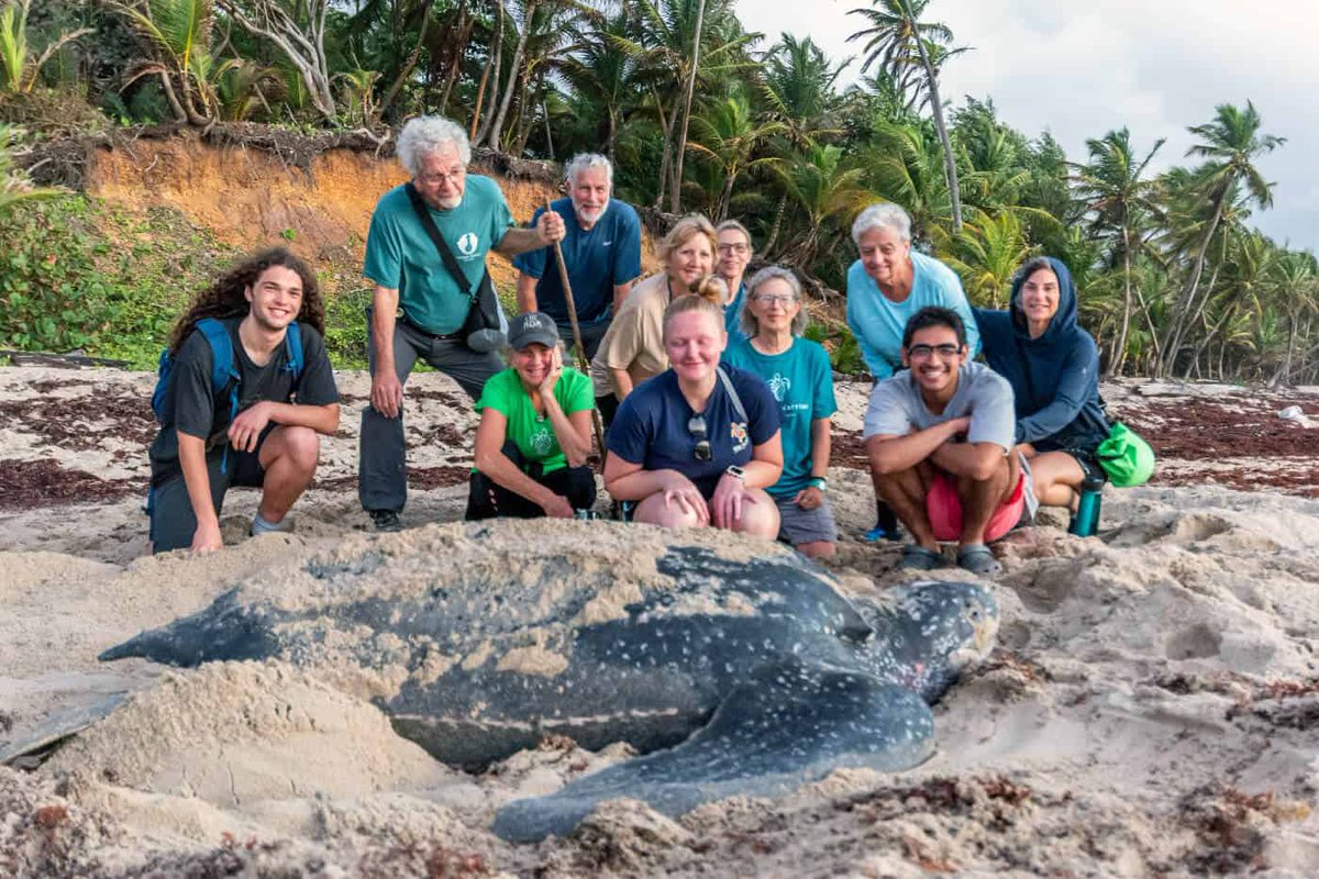 Oceanic Society (@oceanicsociety) on Twitter photo Suzan Lakhan-Baptiste and <a href="/NatureSeekers/">Nature Seekers</a> stand as shining examples of how small grassroots initiatives can grow into transformative movements that not only protect our planet’s fragile ecosystems but also inspire generations to come.
oceanicsociety.org/trip-reports/f… Suzan Lakhan-Baptiste and <a href="/NatureSeekers/">Nature Seekers</a> stand as shining examples of how small grassroots initiatives can grow into transformative movements that not only protect our planet’s fragile ecosystems but also inspire generations to come.
oceanicsociety.org/trip-reports/f…