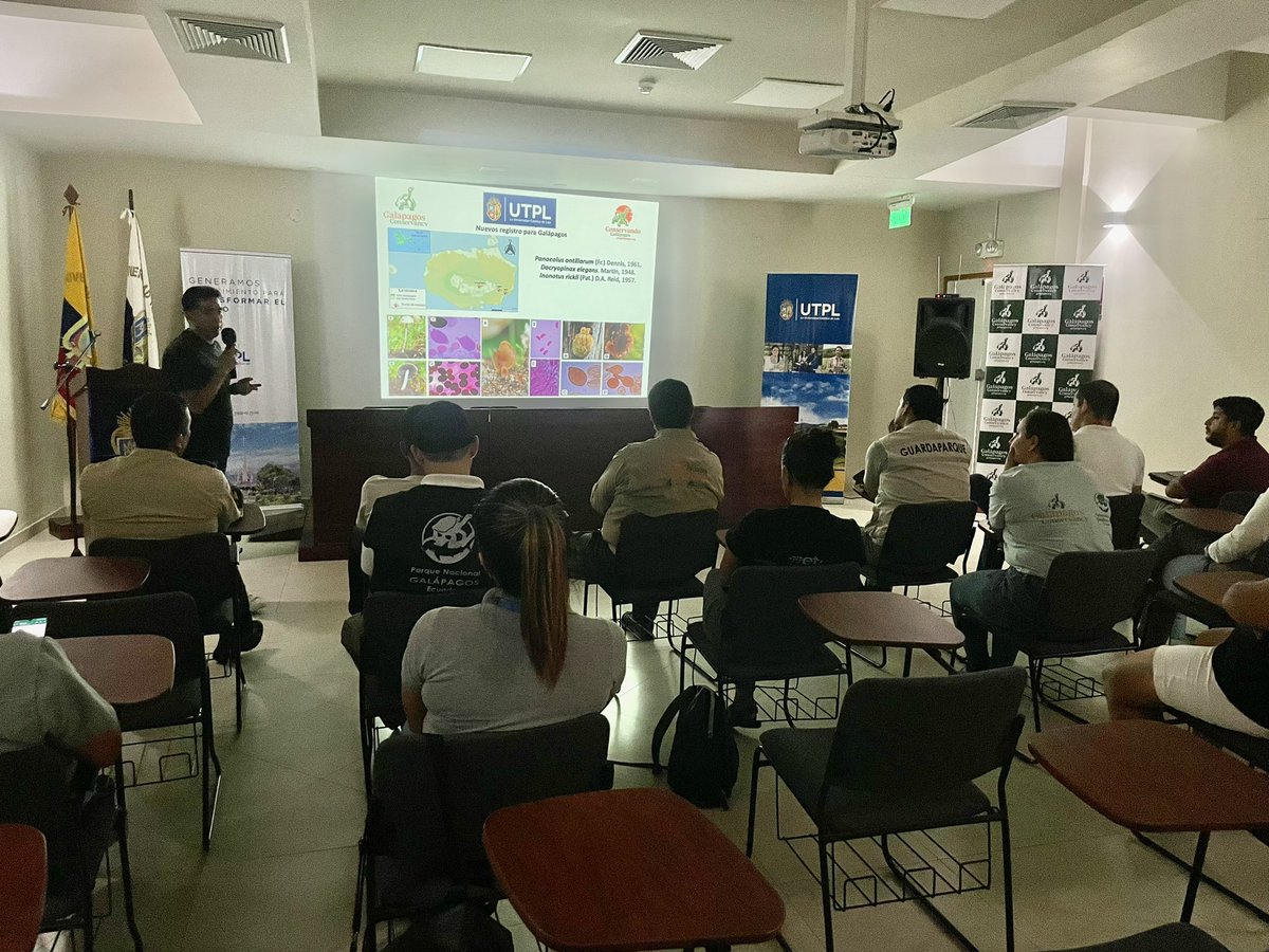 🔬🍄 En este momento, se presentan resultados preliminares del proyecto de investigación sobre la Diversidad Estacional de Hongos en la Isla #SantaCruz. Liderado por Luis Sánchez de la <a href="/utpl/">🎓 UTPL</a>, este estudio cuenta con el respaldo financiero de <a href="/savegalapagos/">Galápagos Conservancy</a>. #Investigación