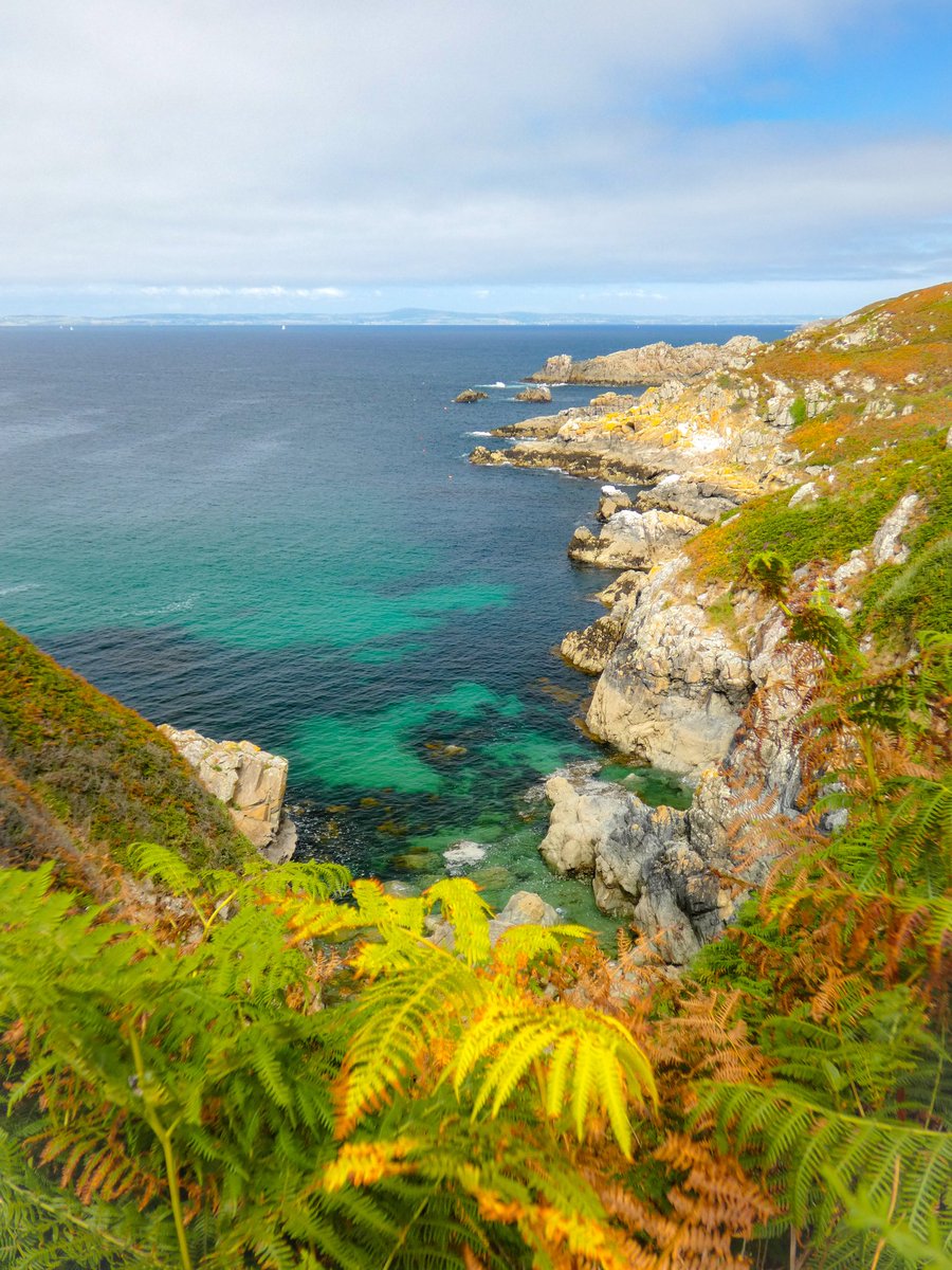 Carolinelsln's tweet photo. On reste en Cap Sizun 😊 #capsizun #finistere #bretagne #pasdecanicule #bzh #brittany #landscape #ouestfrancz #MagnifiqueBretagne https://t.co/P6oTb63g8b