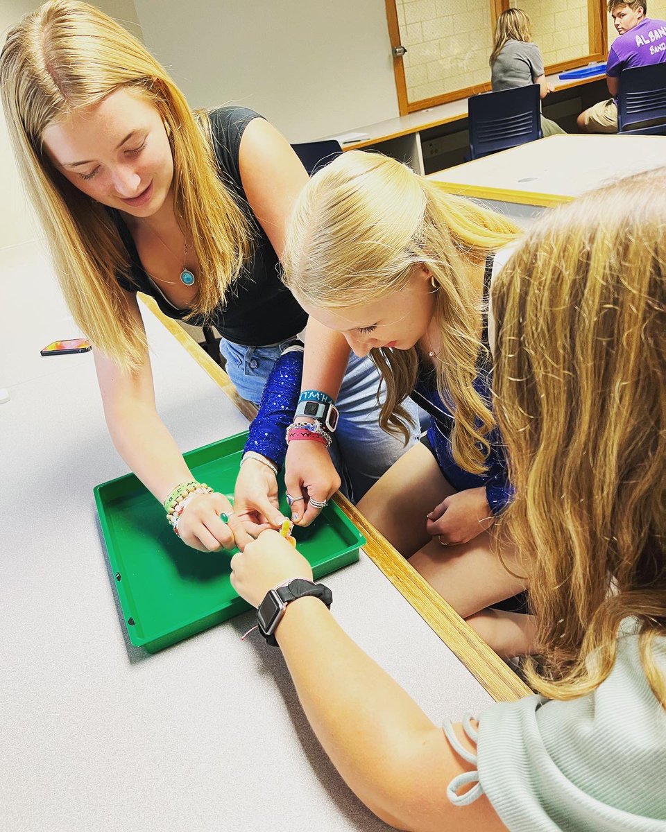 Sara Consdorf tweet media