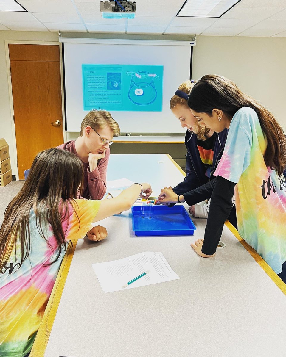 Sara Consdorf tweet media