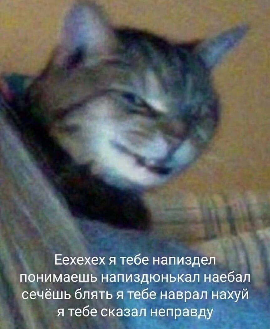 выдыхай tweet media