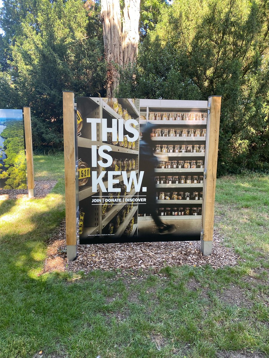 Anne Speak tweet media