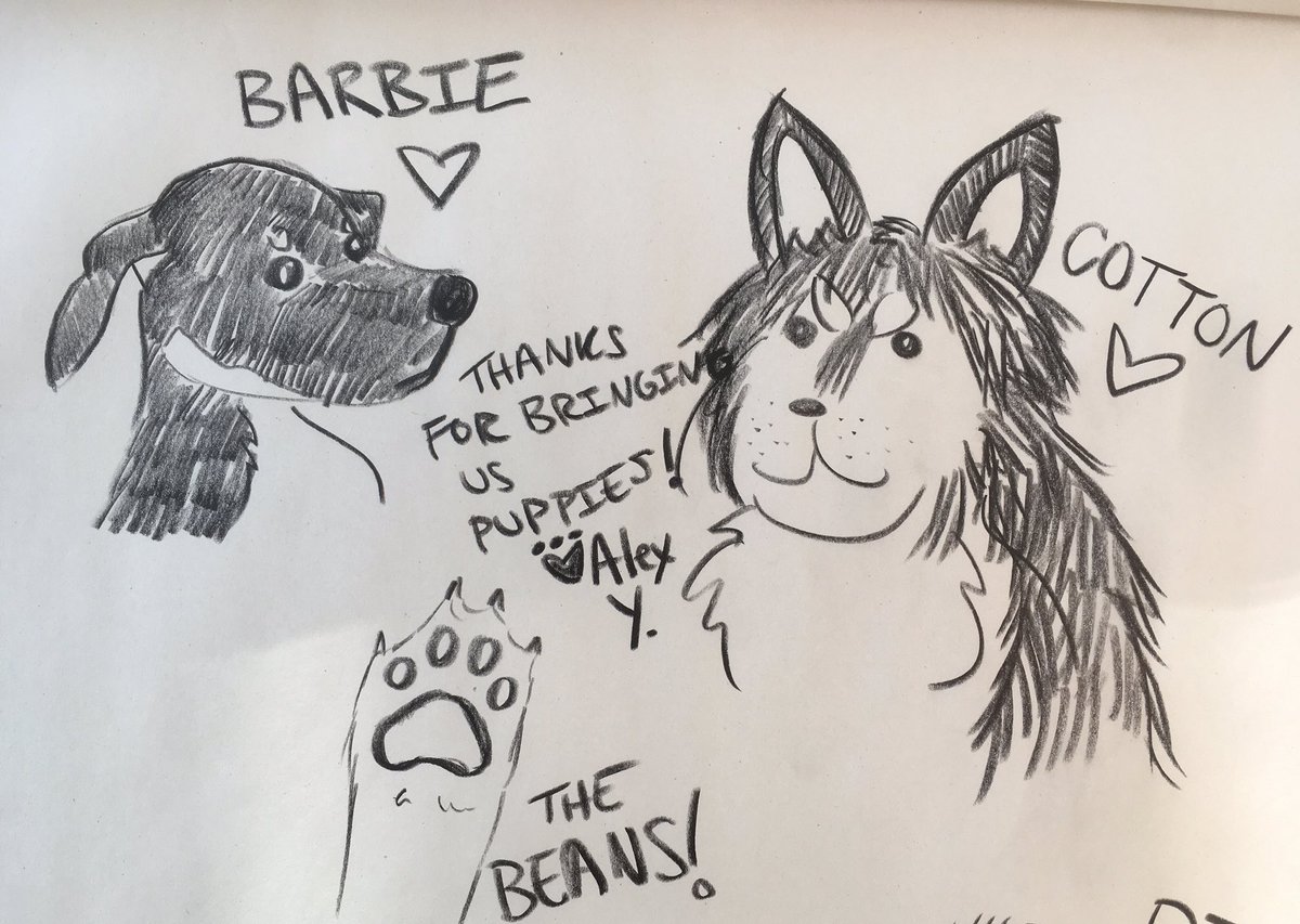 Pups Without Borders had an adoption event at work today and we even got to draw the pups!!