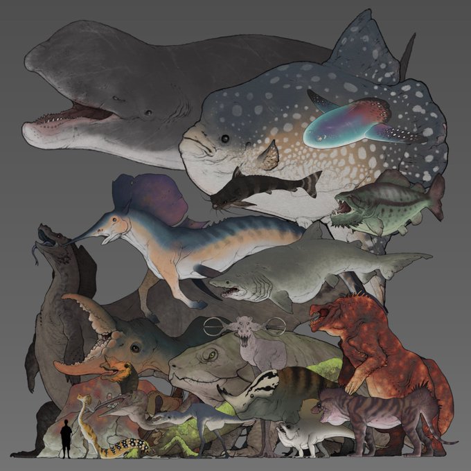 「dinosaur shark」 illustration images(Latest)