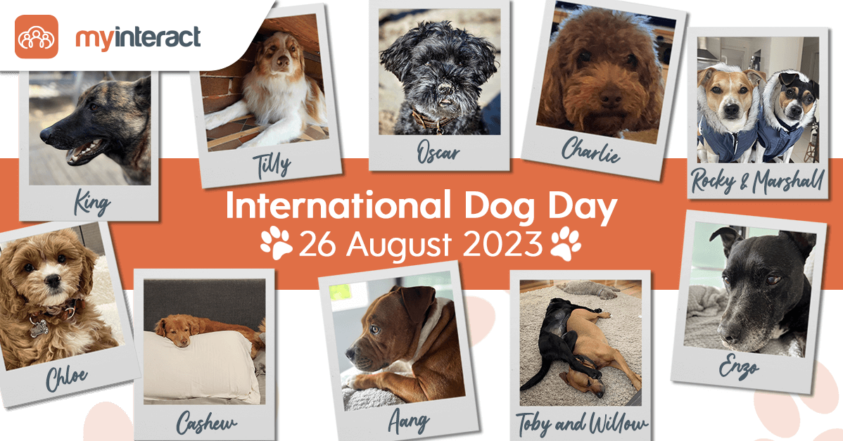 myINTERACT tweet media