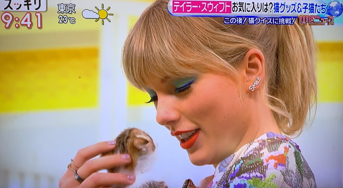 SofterThnAKittn's tweet photo. When Taylor almost came home with a 4th cat #4YearsOfLover https://t.co/tVizrOgXuz