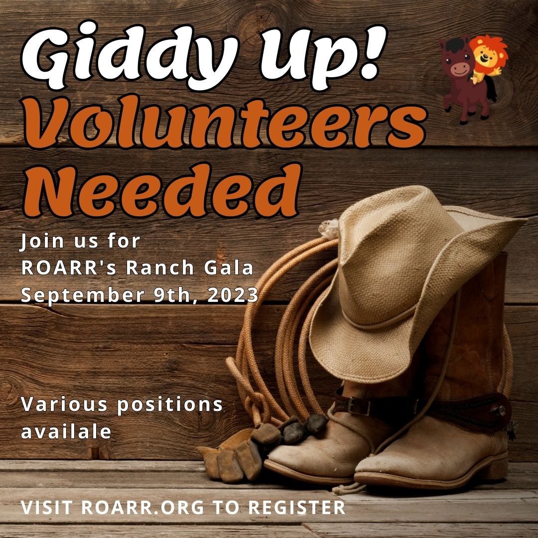ROARR_org's tweet photo. 💫Be a part of the magic at the ROARR Gala!🌟
🎉Calling all VOLUNTEERS: your energy and enthusiasm can make a real impact. Join us in creating an unforgettable evening. From setup to event assistance, your help counts. Volunteer at https://t.co/HNHsrezIea #VolunteerOpportunity https://t.co/54eLs1MjUl