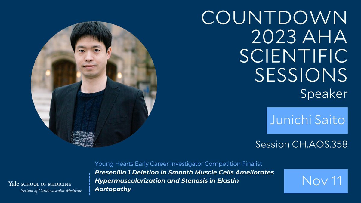 Junichi Saito, MD, PhD, @GreifLab in @YaleCVRC presents, 'Presenilin 1 Deletion in Smooth Muscle Cells Ameliorates Hypermuscularization and Stenosis in Elastin Aortopathy' at #AHA2023 Young Hearts Early Career Investigator Competition. bit.ly/3QS3u8M @YaleCVRC @YaleIMed