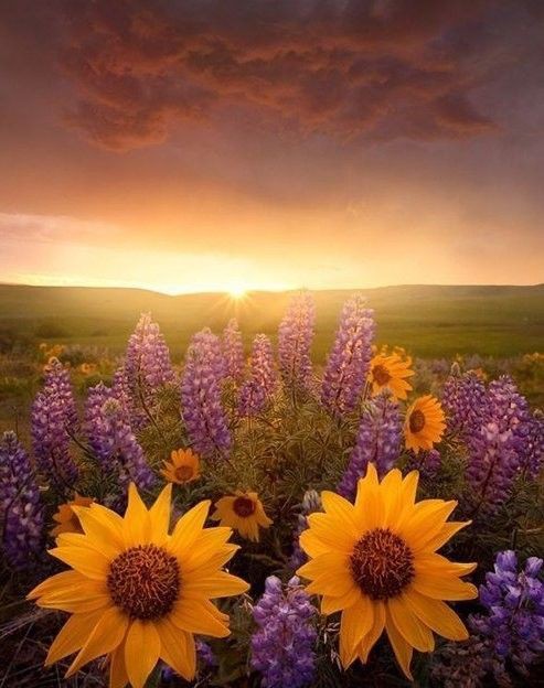 Хорошего вечера Всем! ❤