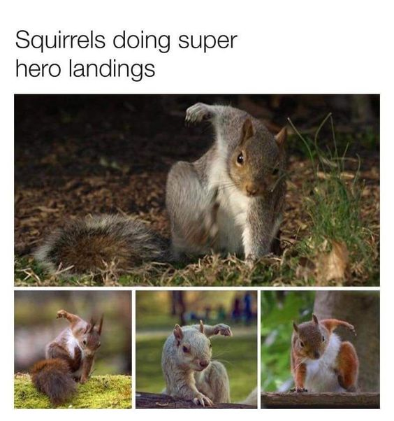 WholesomeMeme's tweet photo. https://t.co/AxSjpUtaVL
