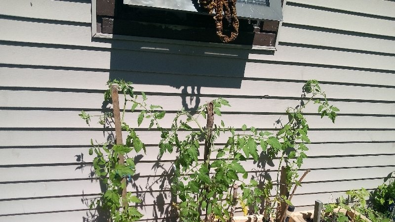 Please support my GoFundMe campaign: gofund.me/2acb70e0 #GoFundMe