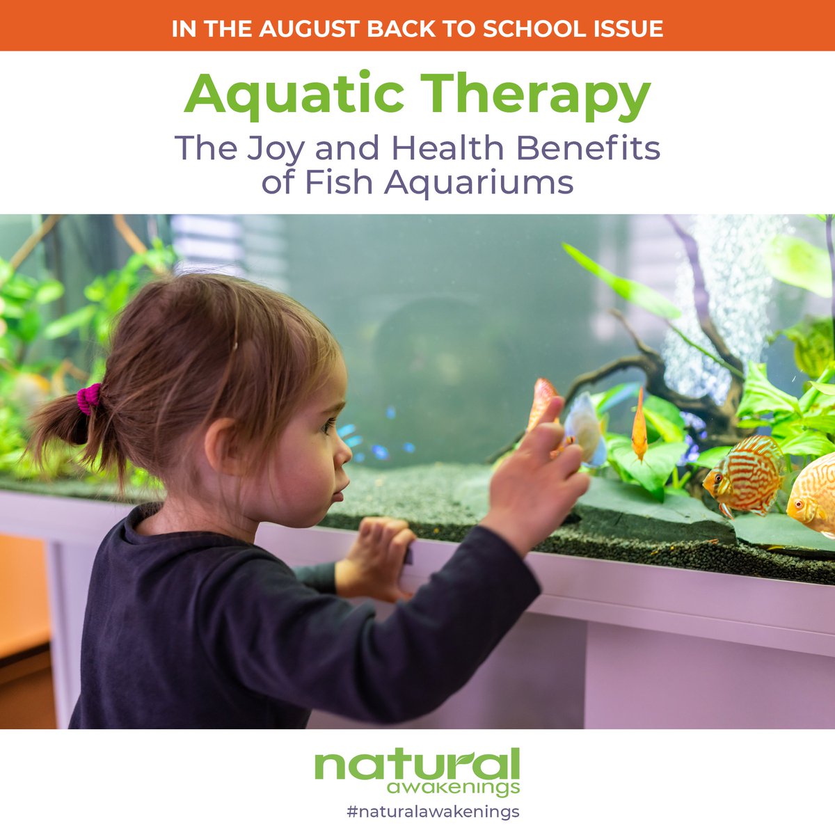 Natural Awakenings tweet media