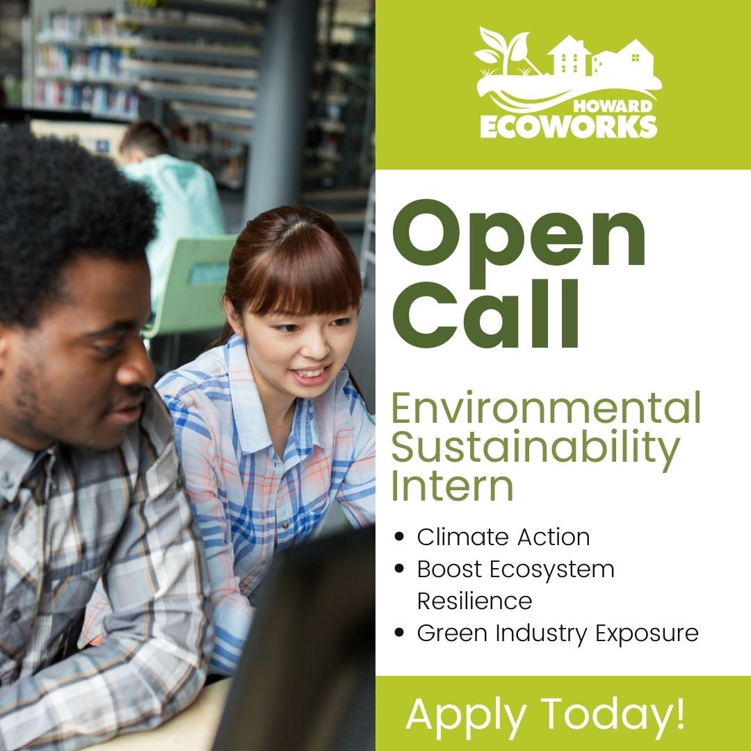 🌿 Join our team as an Environmental Sustainability Intern! 🌍 Passionate about climate action? This is your chance. Contribute to impactful projects, collaborate with experts, and drive change. Apply now! #GreenJobs #ClimateAction #SustainabilityIntern 🍃