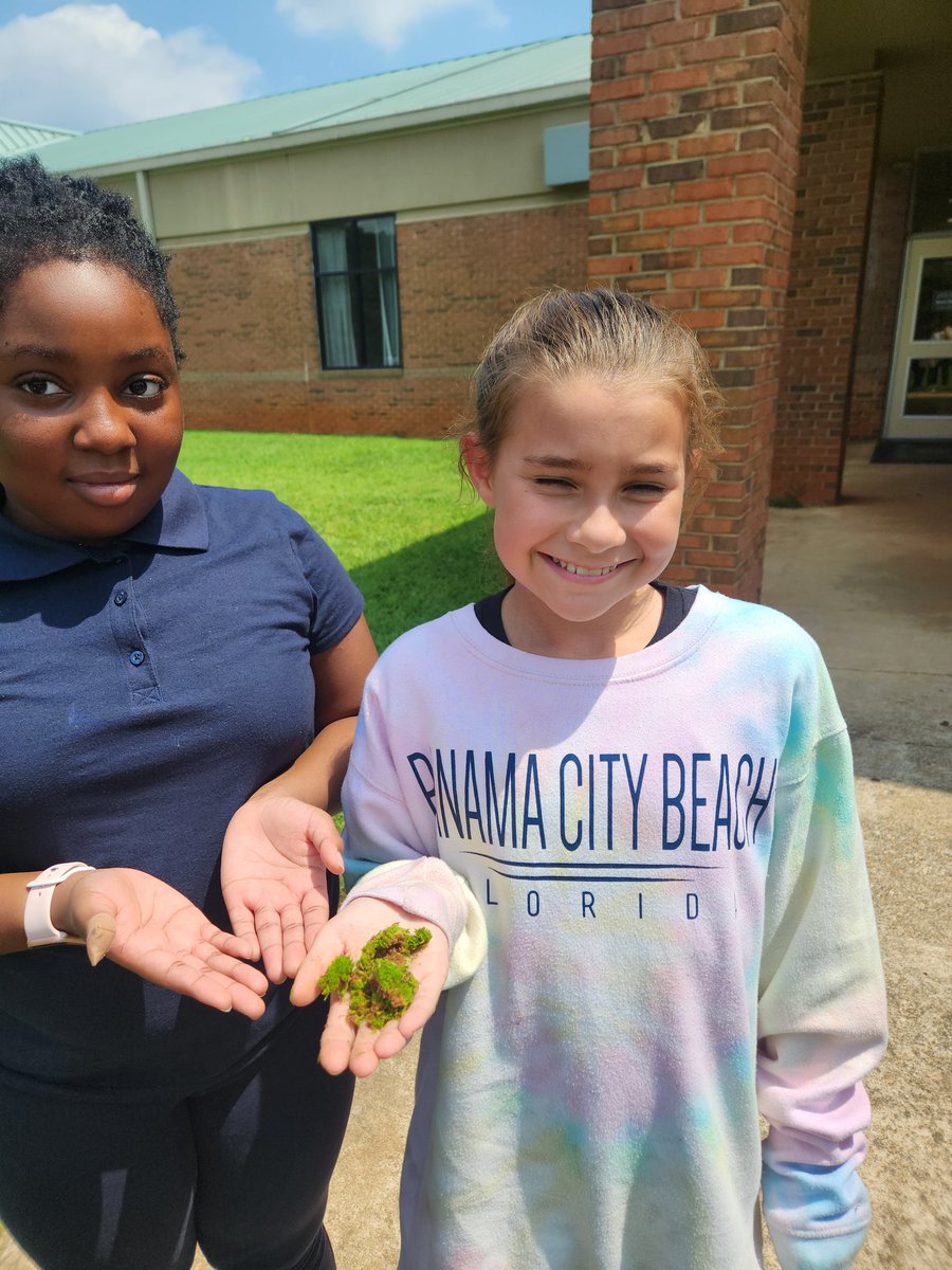 stacyrsalter's tweet photo. Students identified types of plants outside at our school. Vascular and Non-Vascular, seed and non-seed bearing 🪴 🌿 #WinningForKids #RealWorldScience @hfemiway @klbsci @PadenDanielle https://t.co/p8NnjnuRE5