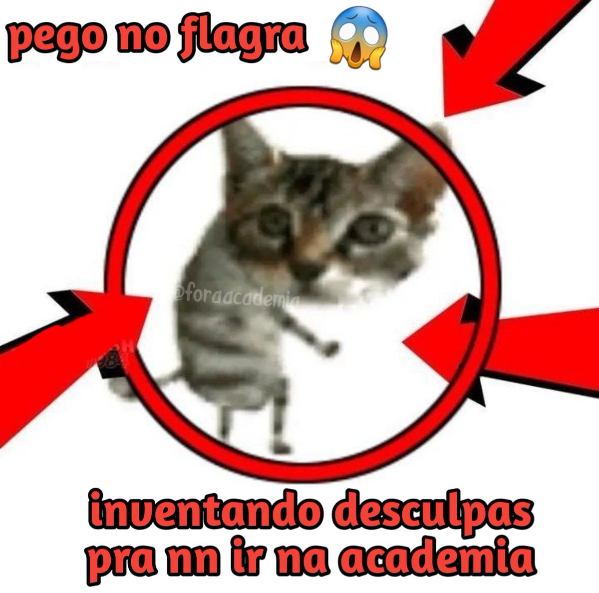 foraacademia's tweet photo. https://t.co/n9PeH9abYK