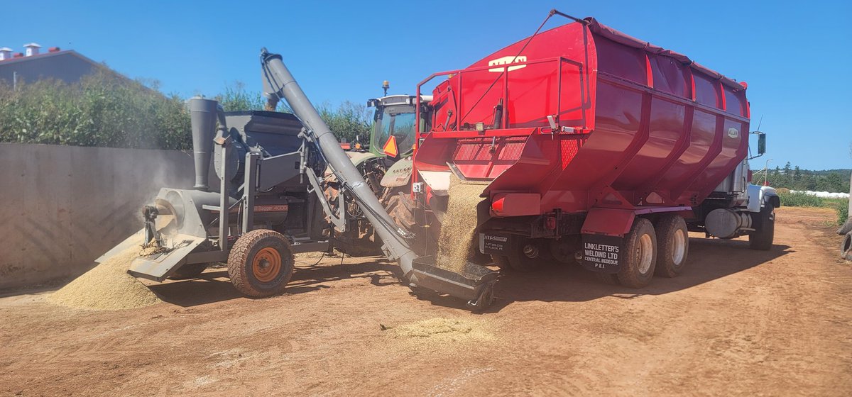 A test run with a load of barley. Yup, grinder works!