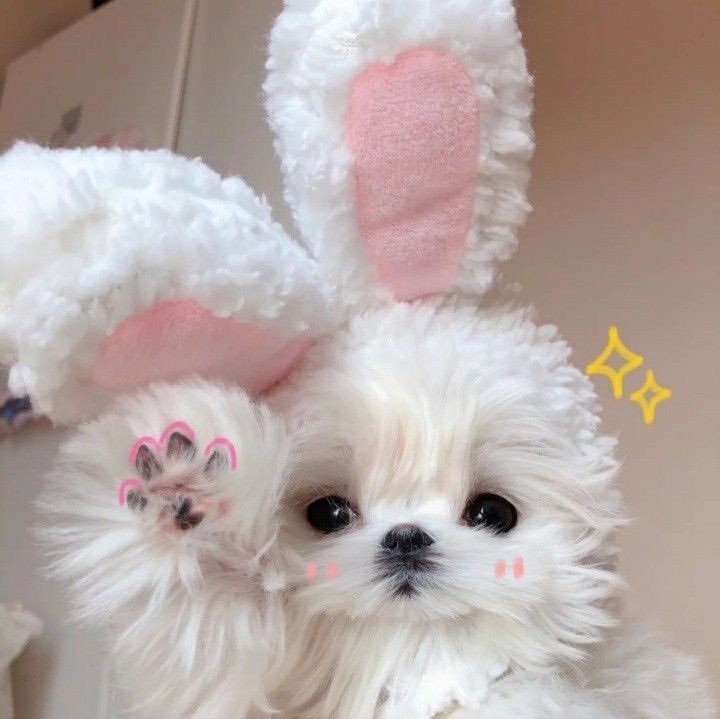 i look like this irl