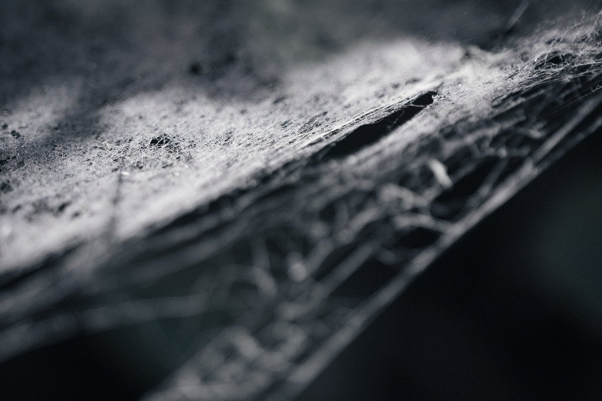 🕸️