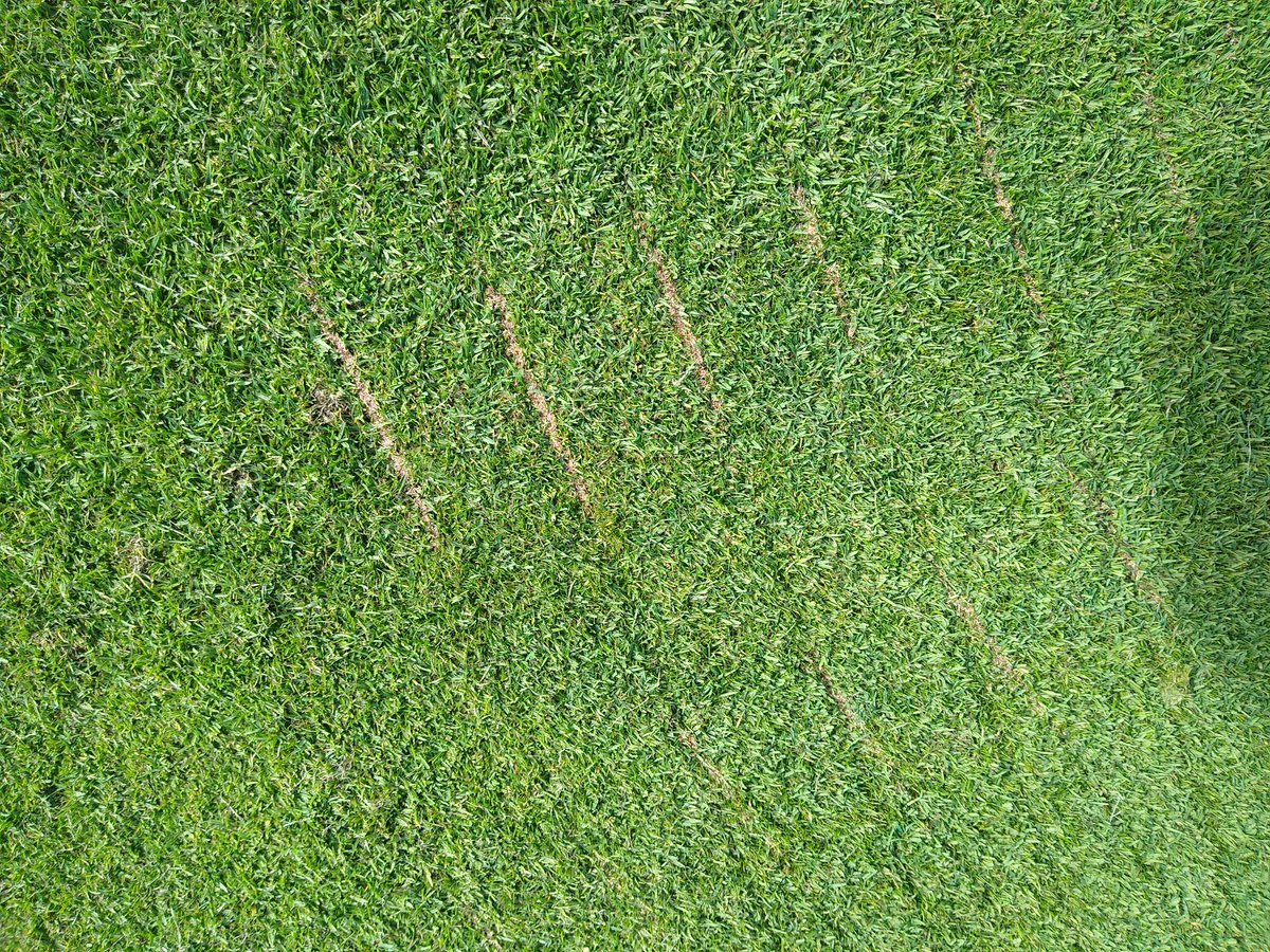 Simon Reardon tweet media