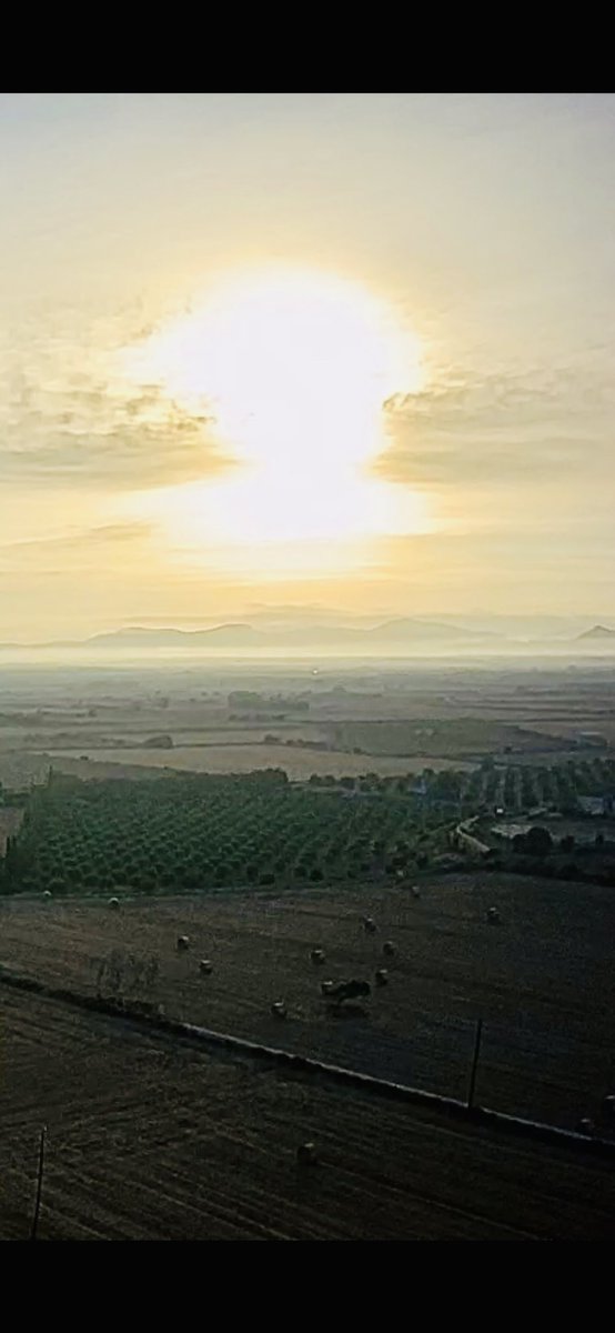 Luke Cope tweet media